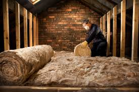 Best Garage Insulation  in North Pearsall, TX